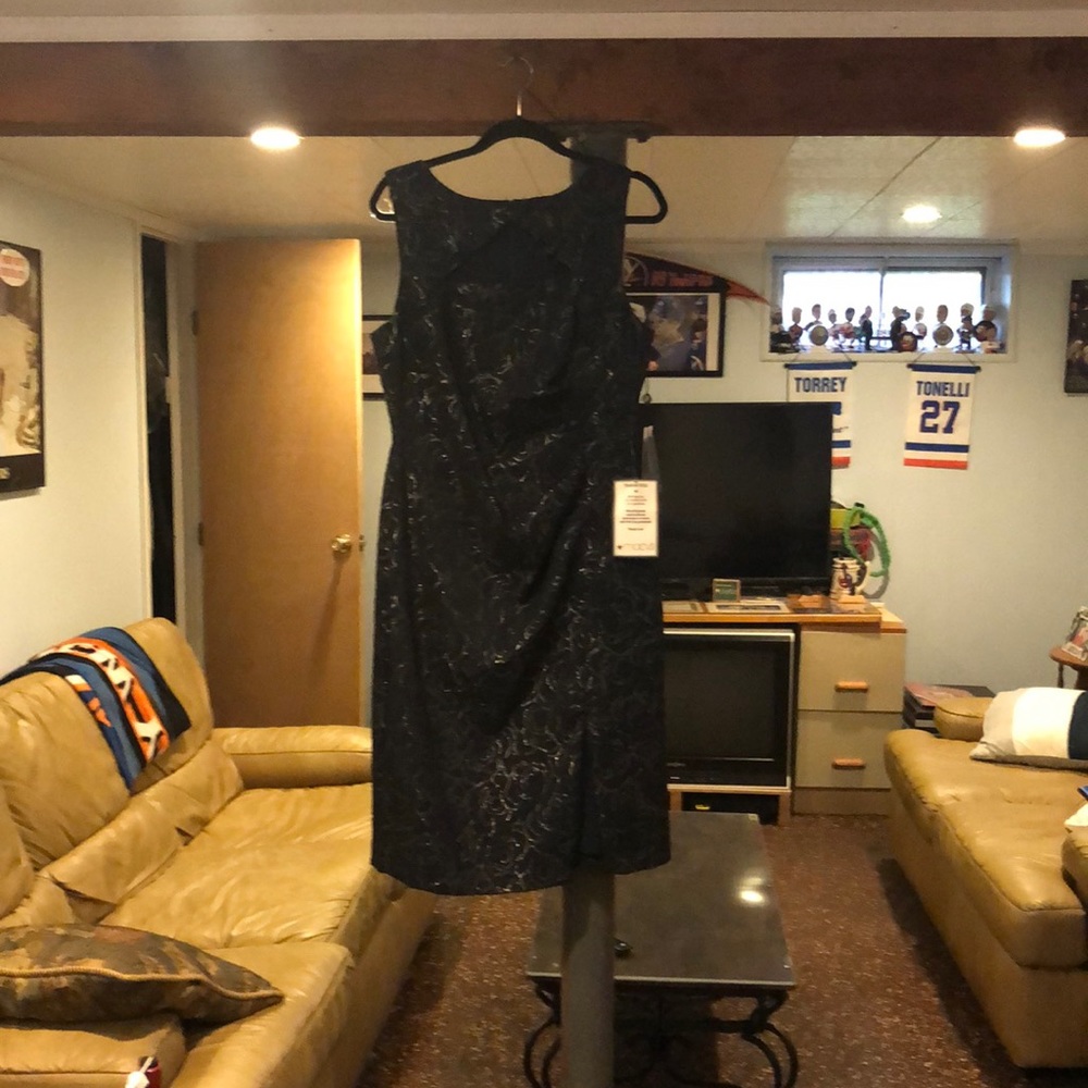 Beautiful Adrianna Papell dress.